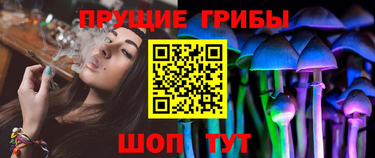 Галлюциногенные грибы прущие грибы Среднеуральск